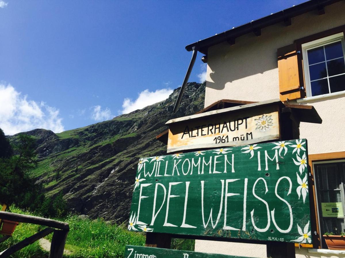 Edelweiss - Mountain * Zermatt