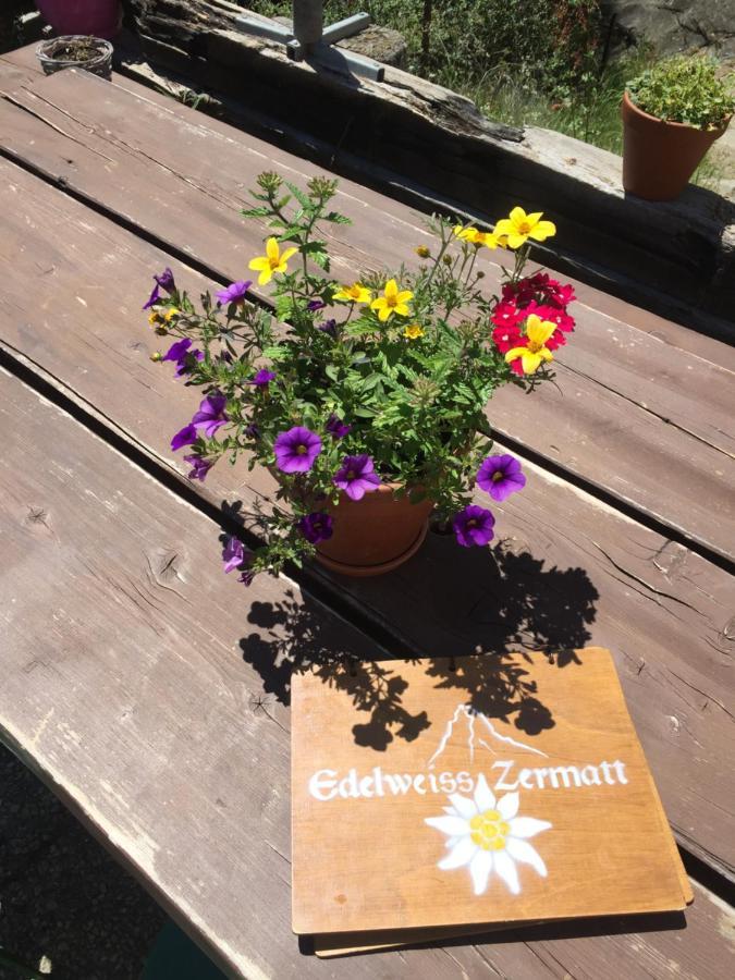 Lodge Edelweiss - Mountain *