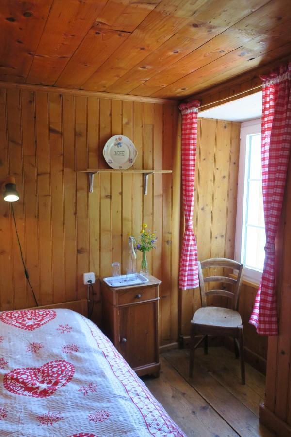 Edelweiss Mountain - 1 Hour Hike Up From Station - On Hiking Trail - No Transport * Zermatt